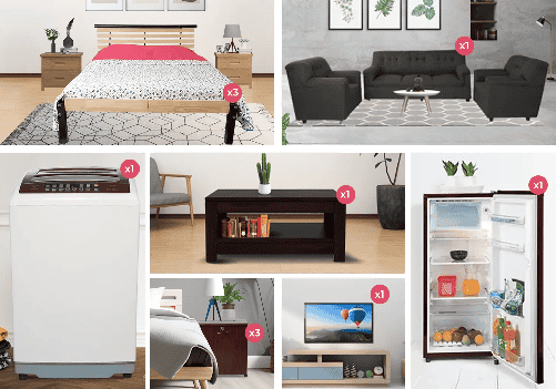 Fully Furnished 3 BHK Combo